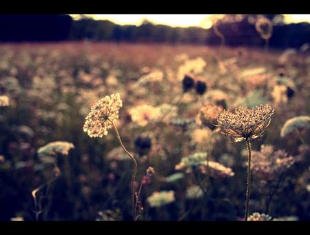 J'oublierai tout ...