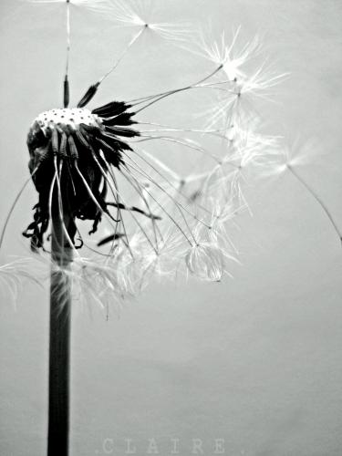 [ article � supprimer ]