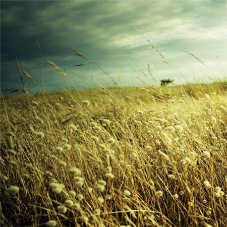 C'est tout simple, en fait : elle attend que �a revienne ...