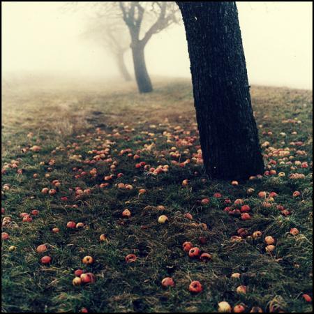 Je suis de celles que l'on ne remarque pas ... ou que l'on remarque trop.